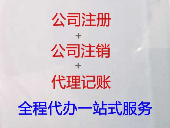 上海专业注册公司代办专员,个人独资公司注册办理代办,公司登记