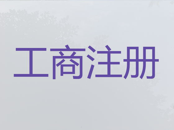 上海专业注册公司代办专员,个人独资公司注册办理代办,公司登记